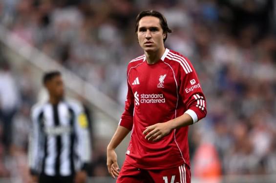 揭秘法国逆,转之谜,德尚鼓舞士,BoYu,博鱼,博鱼体育入口,博鱼官网,博鱼体育APP下载